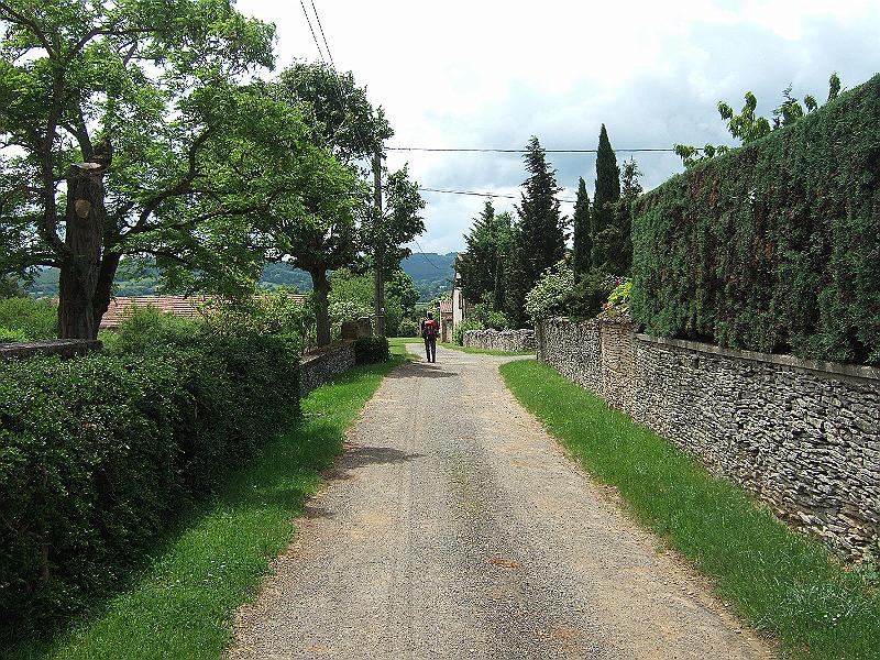 2010-05- (61).JPG
